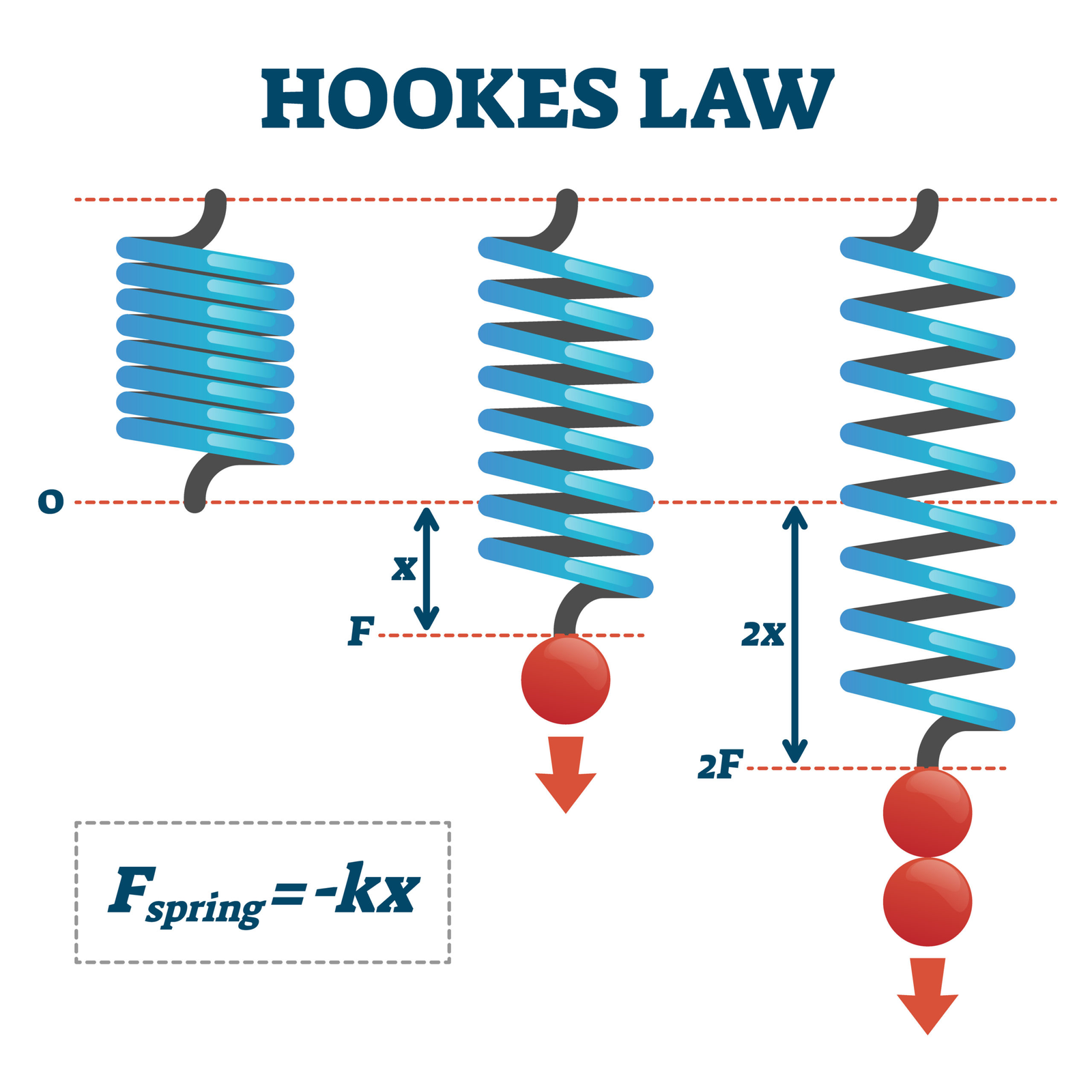 State and Explain Hooke's Law